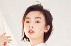 杨杏