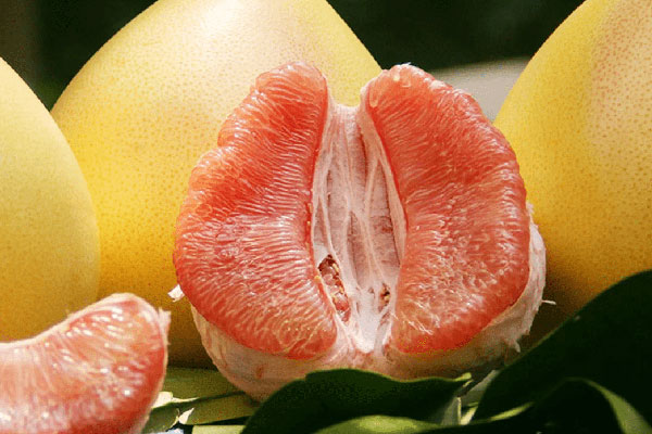 柚子的功效与作用及禁忌