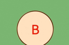 B型血