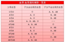 血型遗传规律表，轻松知道孩子是不是亲生的