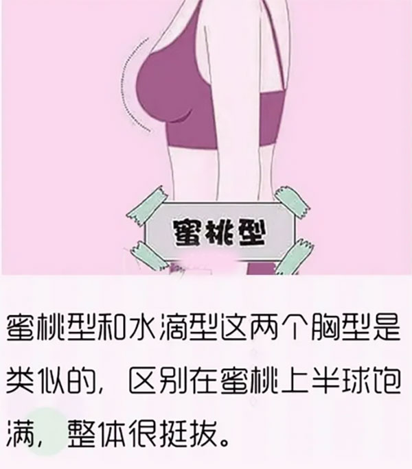 女生胸部形状分类，女人哪种胸型更好看？