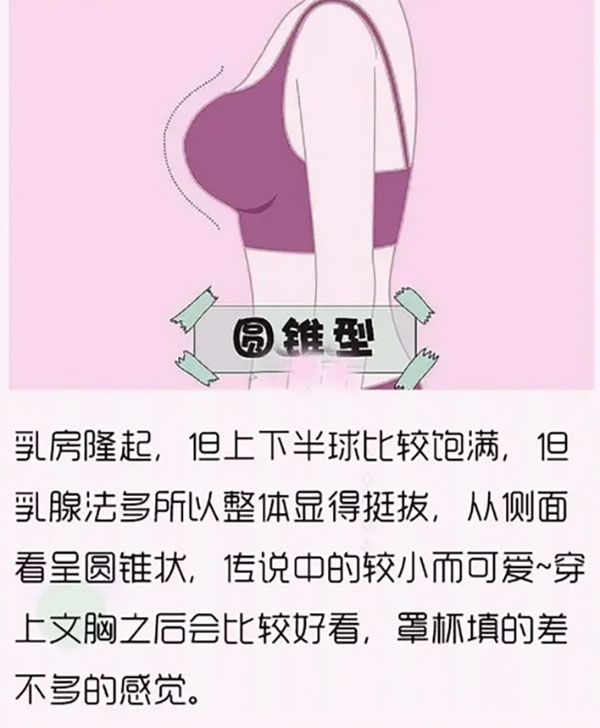 女生胸部形状分类，女人哪种胸型更好看？