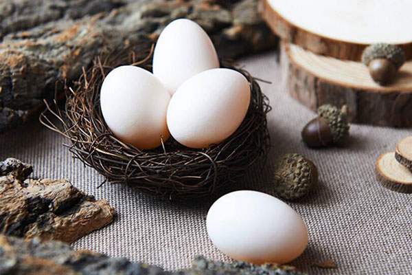 鸽子蛋的营养价值及功效