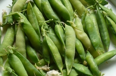 豌豆的营养价值与食用功效