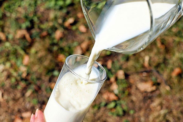 全脂牛奶有什么特点？