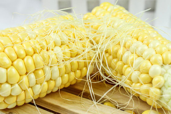 玉米为什么要尽量少吃？