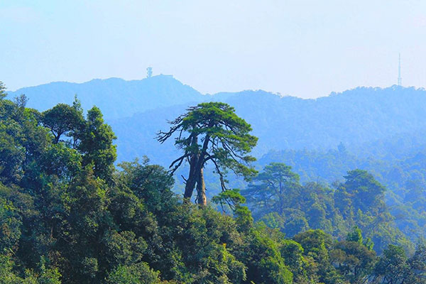 南宁旅游攻略必玩的景点