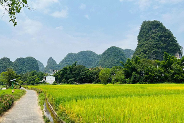 阳朔旅游攻略必去景点