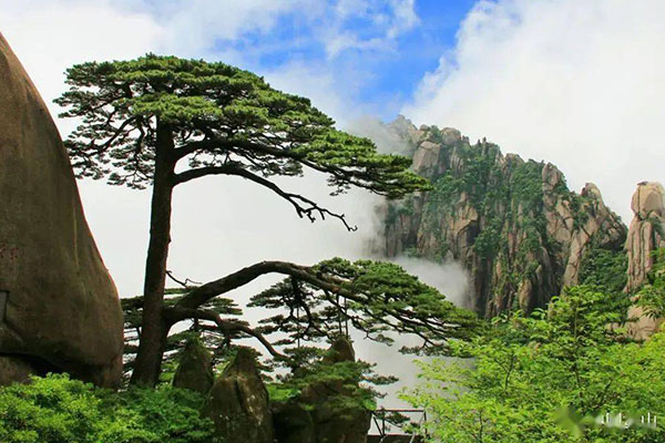 黄山旅游攻略必去景点