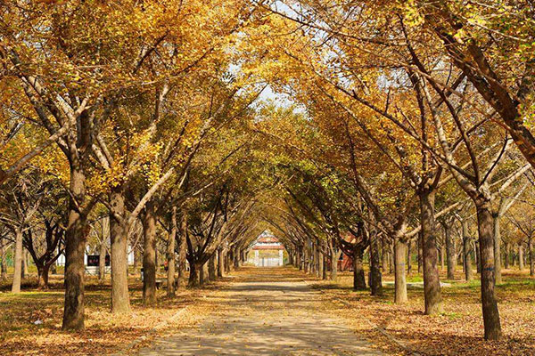 临沂旅游攻略必去景点