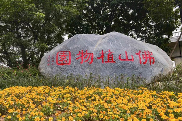 佛山旅游必去十大景点