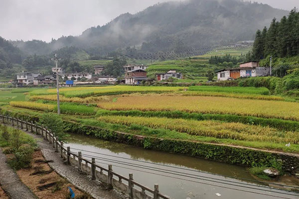 柳州旅游攻略必玩的景点