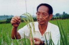 袁隆平个人资料简介及图片