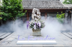 蝶入兰间 | 再遇东方绮丽雅韵与西方美学艺术