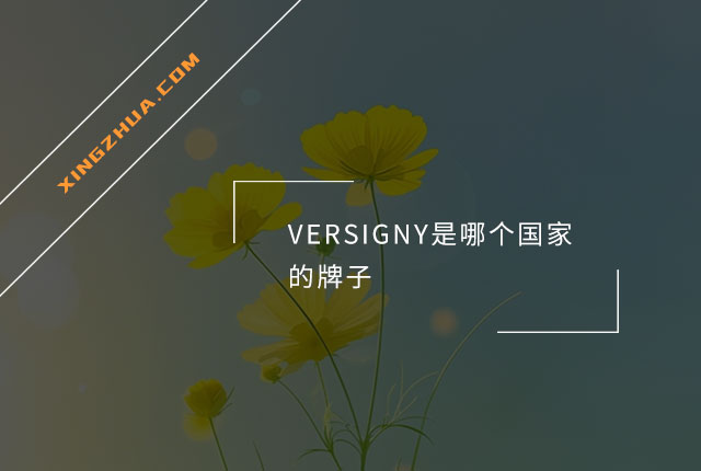 VERSIGNY是哪个国家的牌子？