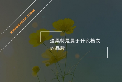 迪桑特是属于什么档次的品牌？
