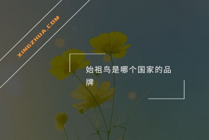 始祖鸟是哪个国家的品牌？