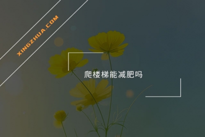 爬楼梯能减肥吗？
