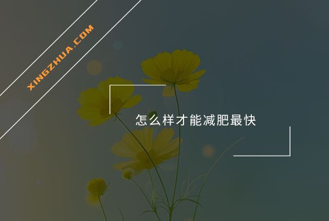 怎么样才能减肥最快？
