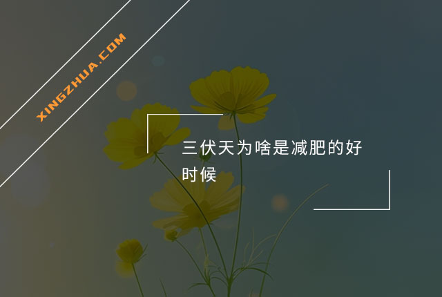 三伏天为啥是减肥的好时候？