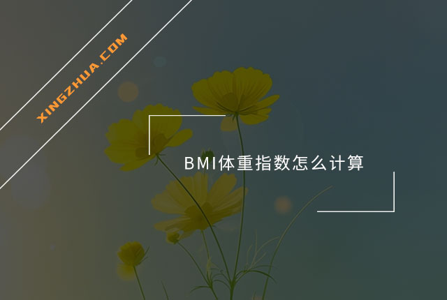 BMI体重指数怎么计算？