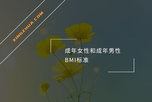 成年女性和成年男性BMI标准