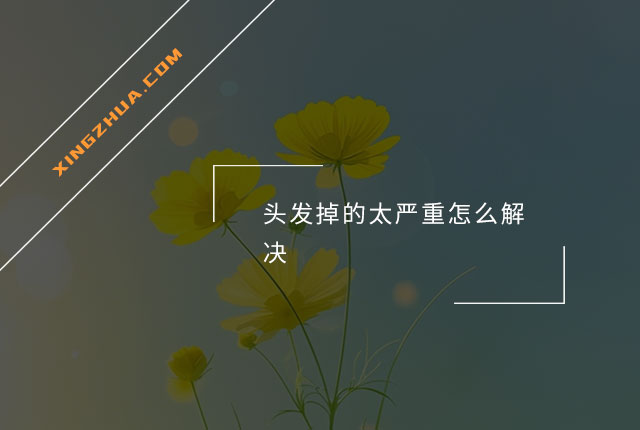 头发掉的太严重怎么解决？