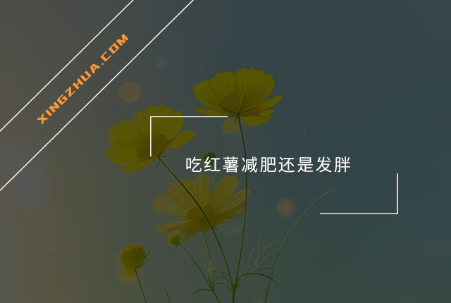 吃红薯减肥还是发胖？