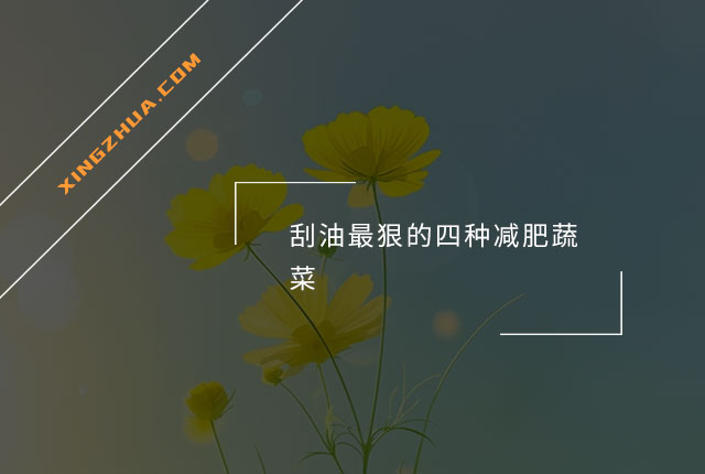 刮油最狠的四种减肥蔬菜