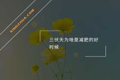 三伏天为啥是减肥的好时候？