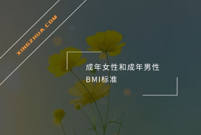 成年女性和成年男性BMI标准