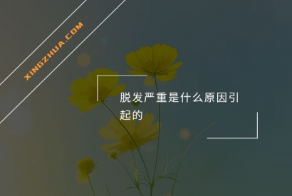 脱发严重是什么原因引起的？