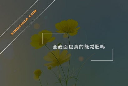 全麦面包真的能减肥吗？