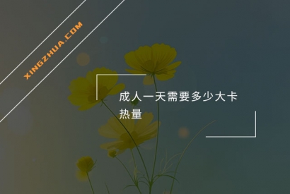 成人一天需要多少大卡热量？