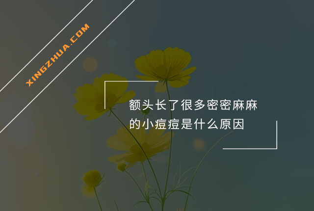 额头长了很多密密麻麻的小痘痘是什么原因？
