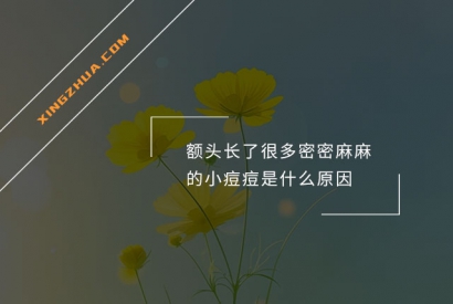 额头长了很多密密麻麻的小痘痘是什么原因？