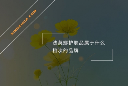 法莫娜护肤品属于什么档次的品牌？