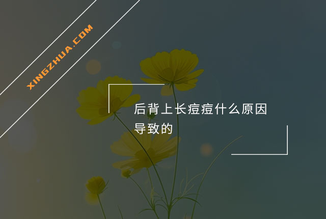 后背上长痘痘什么原因导致的？