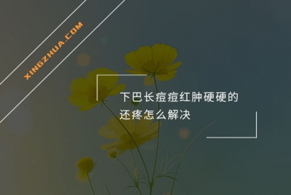 下巴长痘痘红肿硬硬的还疼怎么解决？
