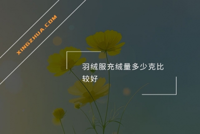 羽绒服充绒量多少克比较好？