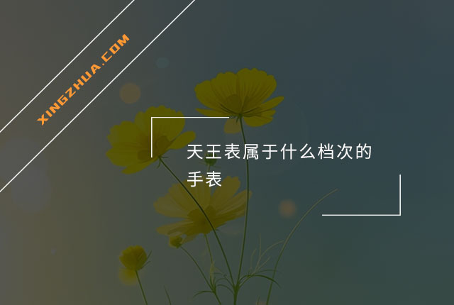 天王表属于什么档次的手表？