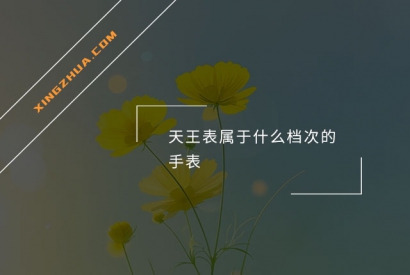 天王表属于什么档次的手表？