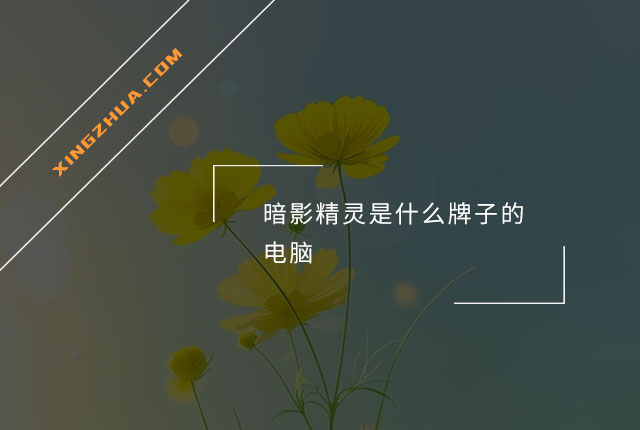 暗影精灵是什么牌子的电脑？