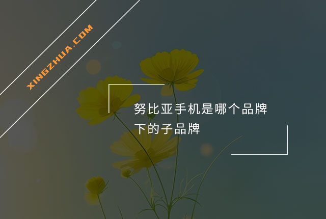 努比亚手机是哪个品牌下的子品牌？
