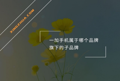 一加手机属于哪个品牌旗下的子品牌？