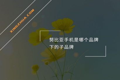 努比亚手机是哪个品牌下的子品牌？