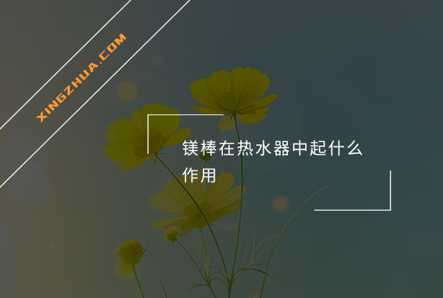 镁棒在热水器中起什么作用？