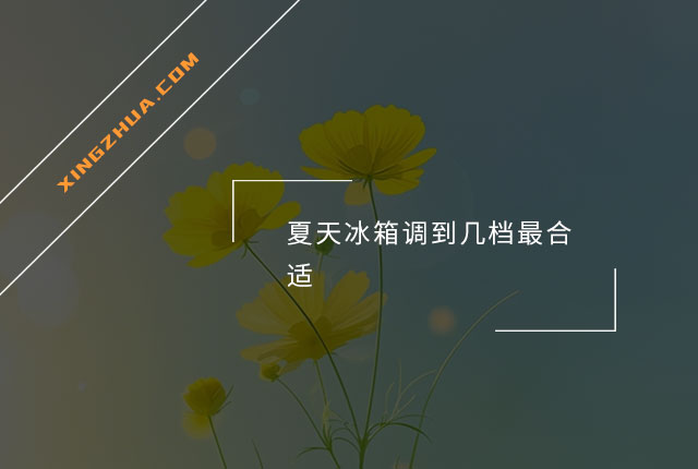夏天冰箱调到几档最合适？