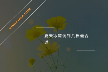 夏天冰箱调到几档最合适？