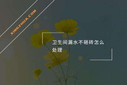 卫生间漏水不砸砖怎么处理？